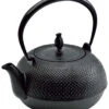 Ikenaga Nambu Cast Iron Tetsubin Kettle Nozomi -Kai Store 2047700