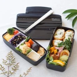 Skater Modern+ Polypropylene Shokado 2-Tier Bento Lunch Box -Kai Store SkaterModern PolypropyleneShokado2 TierBentoLunchBox12195 1 POW5S 3