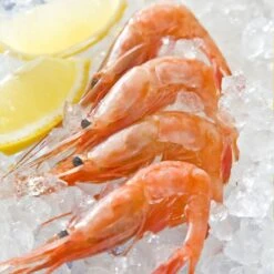 Swan Aluminium Manual Ice Crusher -Kai Store SwanAluminiumManualIceCrusher 3 9ea904ae eac4 4524 95ee 346b19edcade