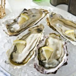 Swan Aluminium Manual Ice Crusher -Kai Store SwanAluminiumManualIceCrusher 4 c19e3ab1 364e 4552 94fb f79454a500a4