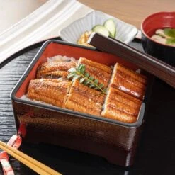 Wakaizumi Shikki Heat Resistant ABS Resin Donju Jubako Box -Kai Store WakaizumiShikkiHeatResistantABSResinDonjuJubakoBox 3